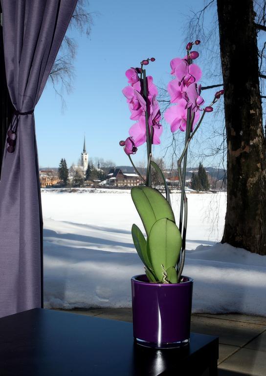 Apartmany Bella Vista Lipno Frydava Bagian luar foto