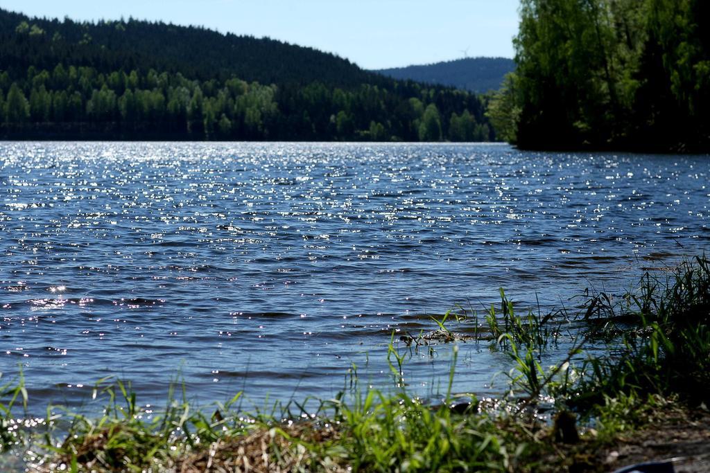 Apartmany Bella Vista Lipno Frydava Bagian luar foto