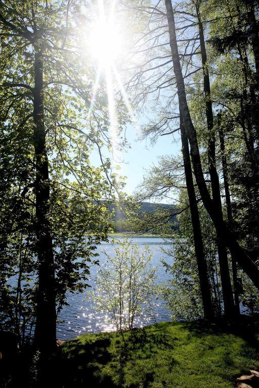 Apartmany Bella Vista Lipno Frydava Bagian luar foto