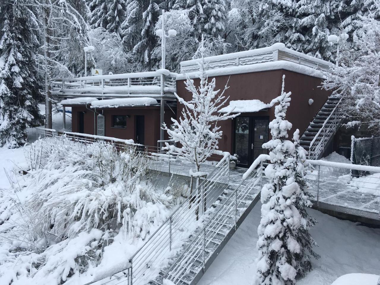 Apartmany Bella Vista Lipno Frydava Bagian luar foto