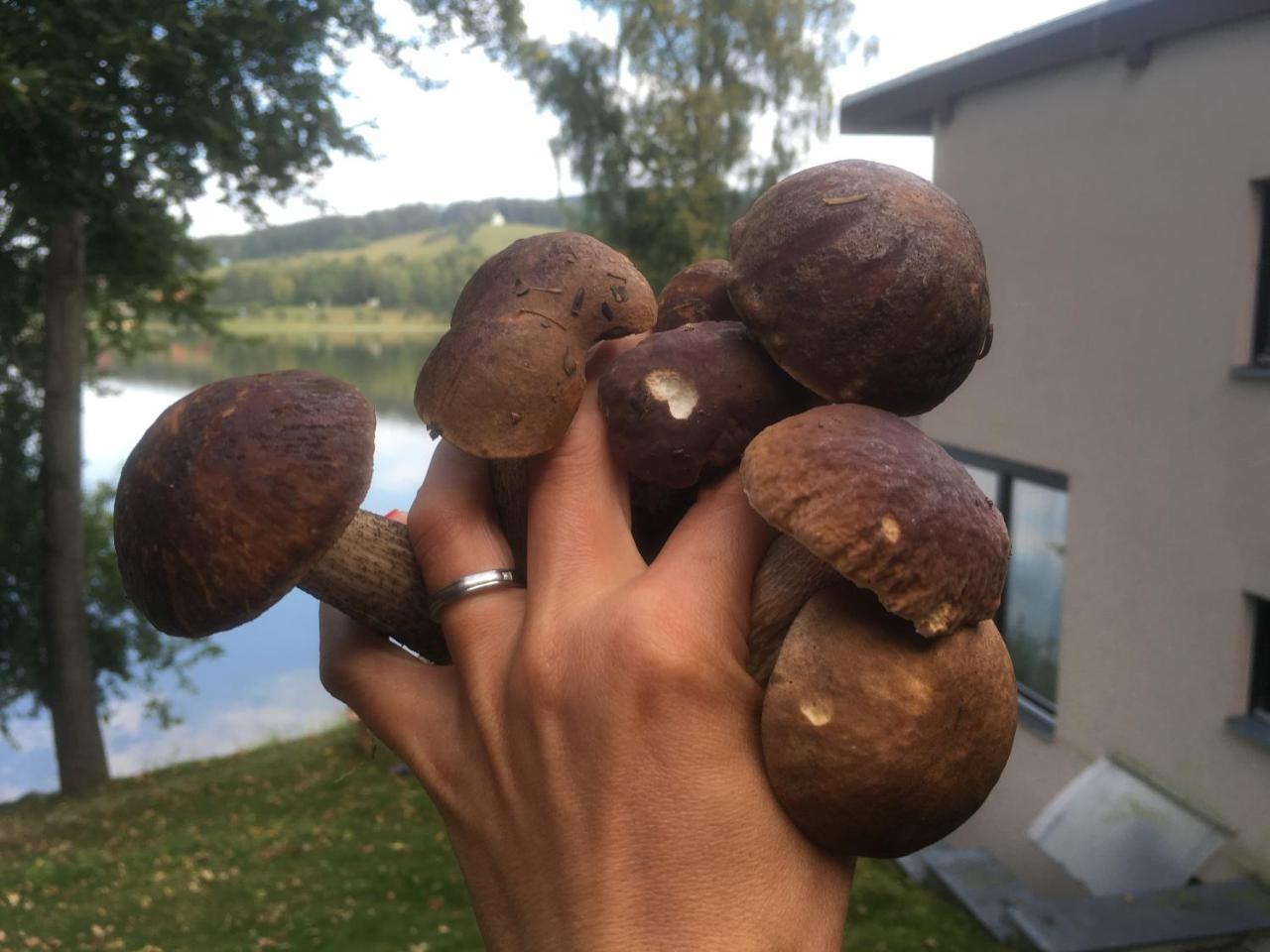 Apartmany Bella Vista Lipno Frydava Bagian luar foto